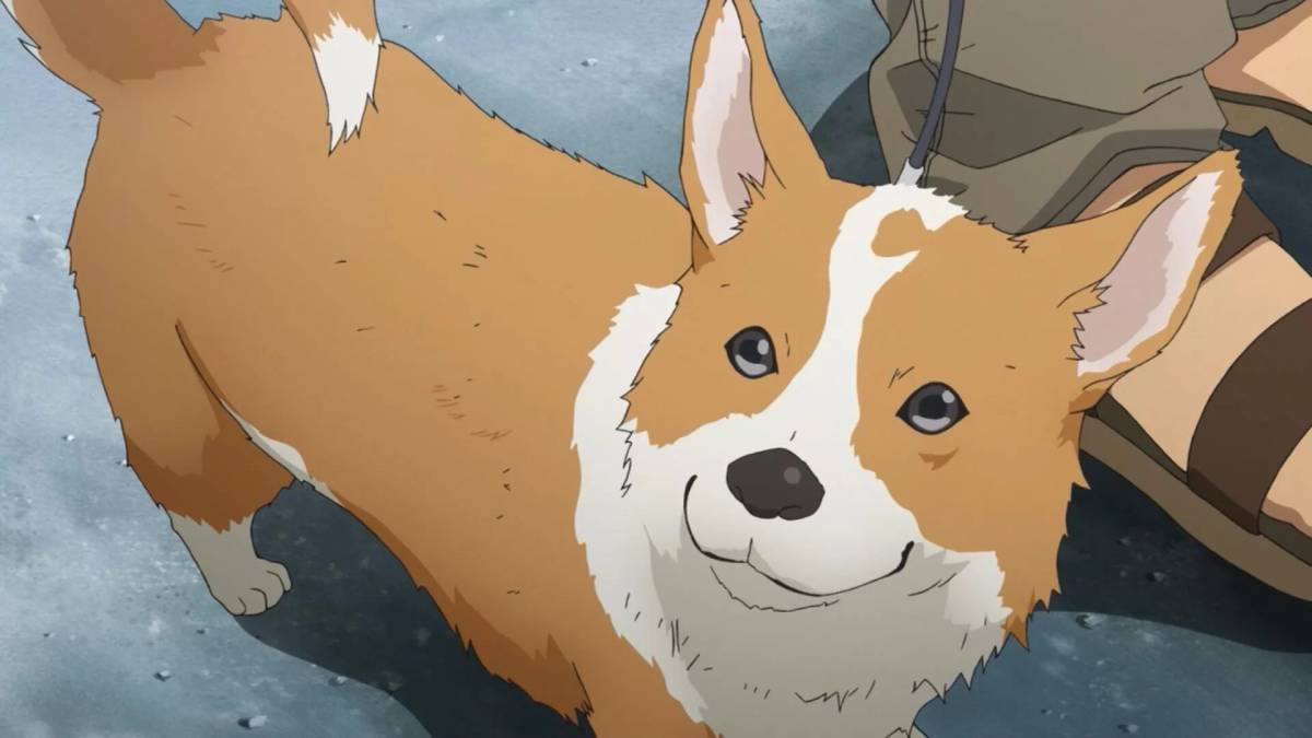 Собака аниме #10