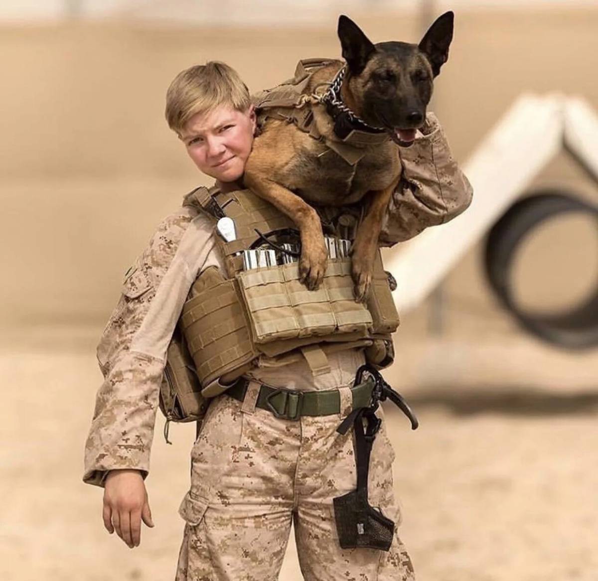 Собака военная #14