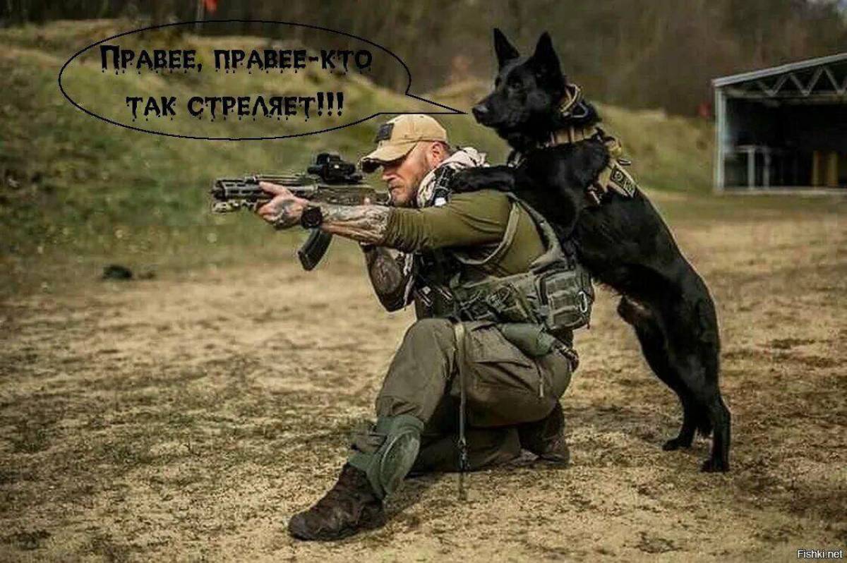 Собака военная #34