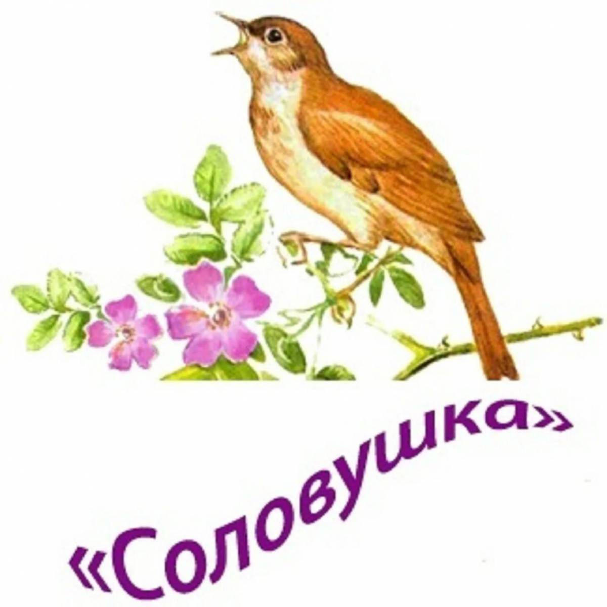 Картинка для детей соловушка