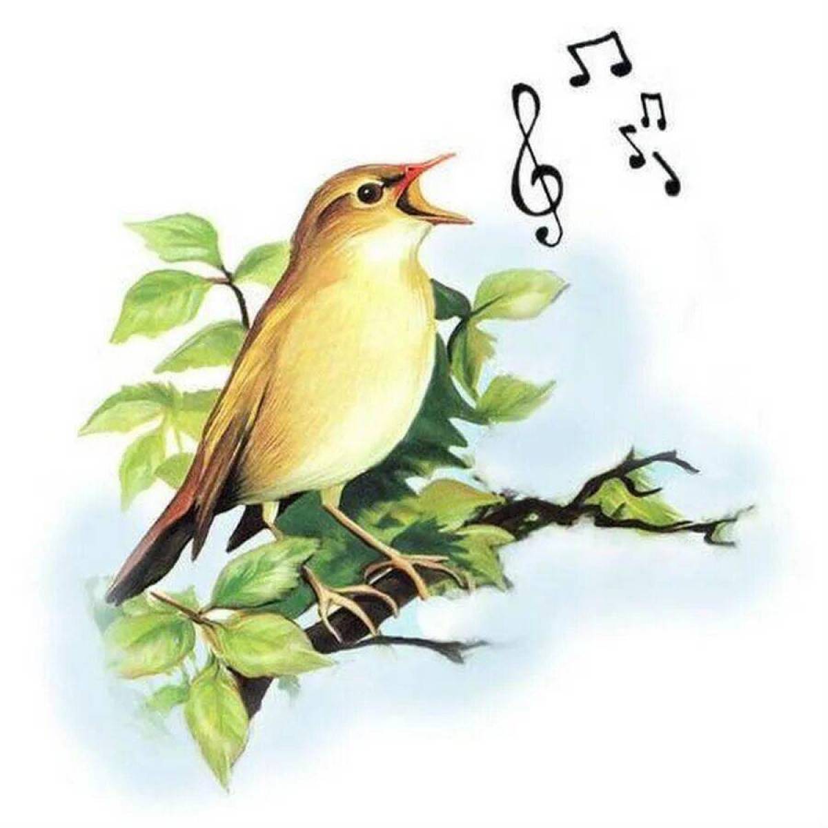 Музыка птички поют. Аист и Соловей Берестом. Птицы поют. Соловей рисунок. Птичка на ветке рисунок.