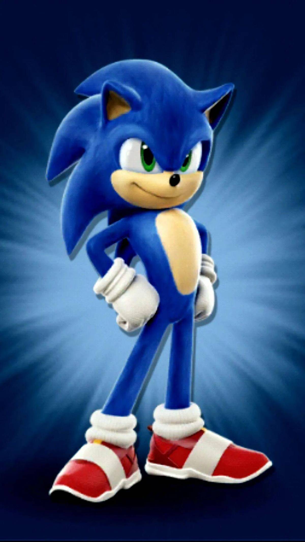 Был большой сонник. Sonic Dash. Соник и Соника. Соник из Sonic Dash. Соник синий Ежик Соник.