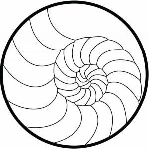 Раскраска создание спиральной #22 #504434