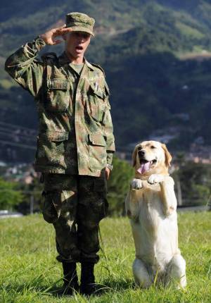 Раскраска солдат с собакой #3 #504993