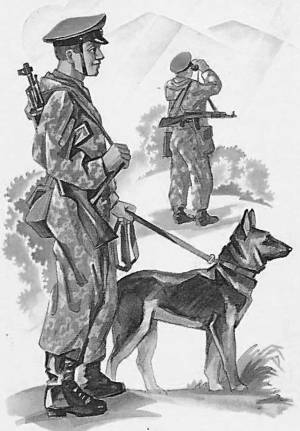 Раскраска солдат с собакой #4 #504994
