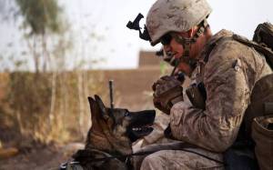 Раскраска солдат с собакой #5 #504995
