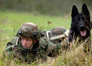 Раскраска солдат с собакой #10 #505000