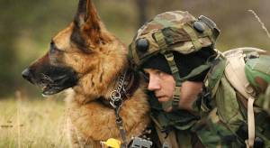 Раскраска солдат с собакой #13 #505003