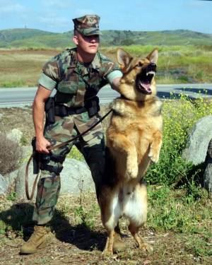 Раскраска солдат с собакой #17 #505007