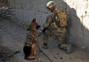 Раскраска солдат с собакой #20 #505010