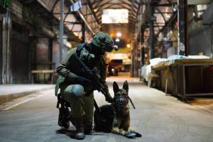 Раскраска солдат с собакой #23 #505013