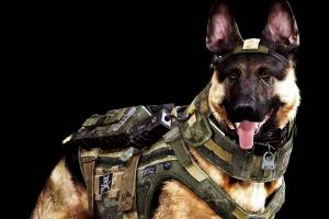 Раскраска солдат с собакой #31 #505021