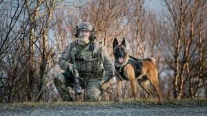 Раскраска солдат с собакой #34 #505024