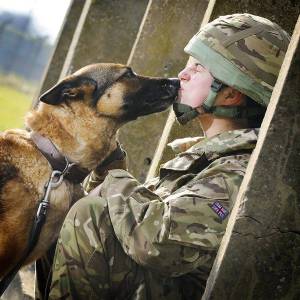 Раскраска солдат с собакой #37 #505027