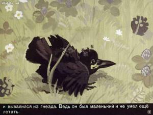Раскраска соловей и вороненок #32 #505799