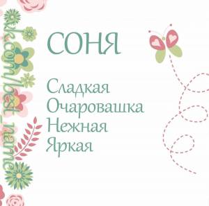 Раскраска соня #26 #507084