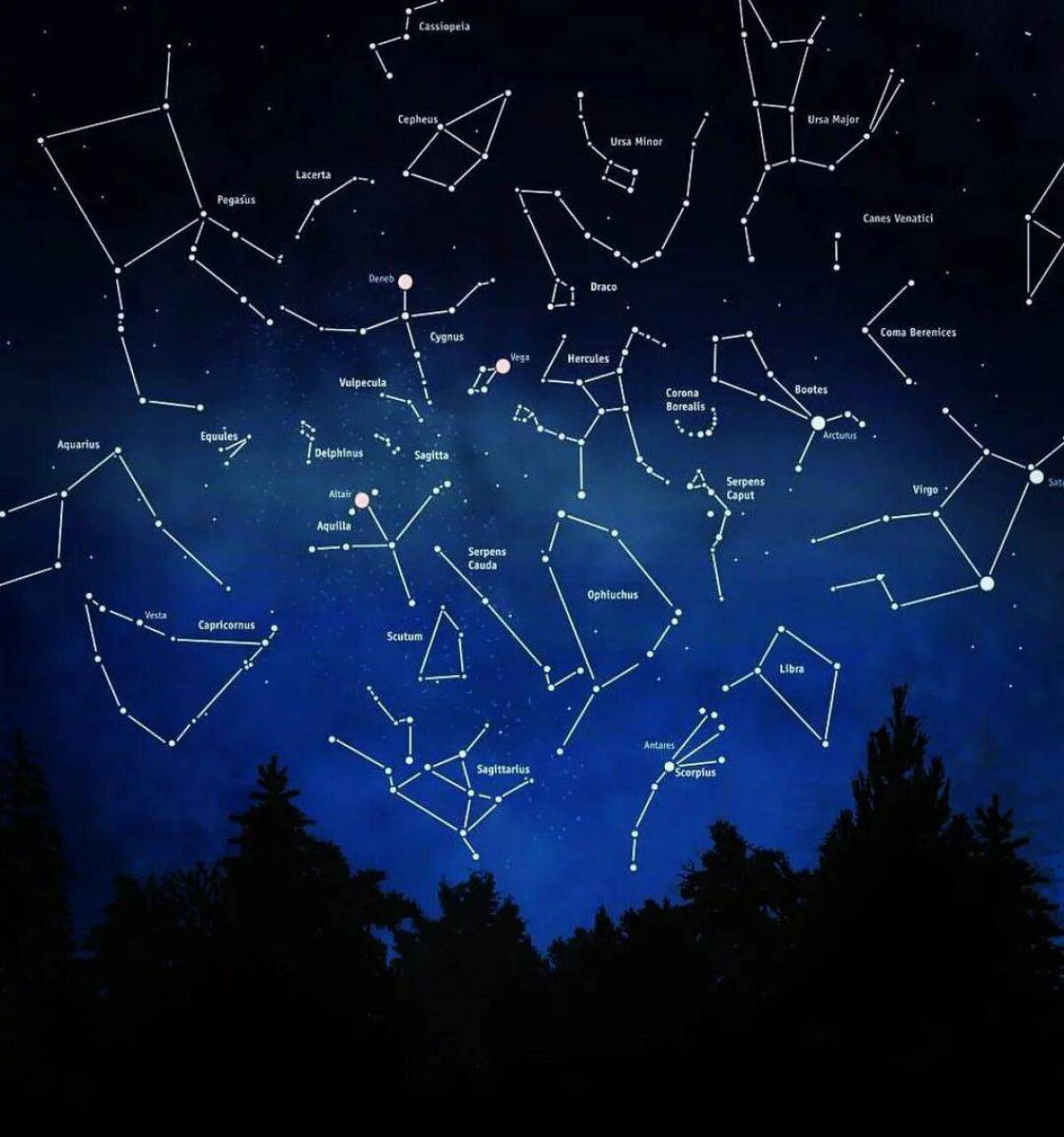 Звездное небо какие созвездия
