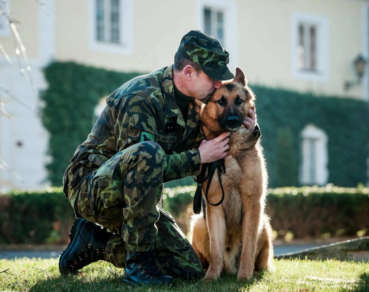 Солдат с собакой #2