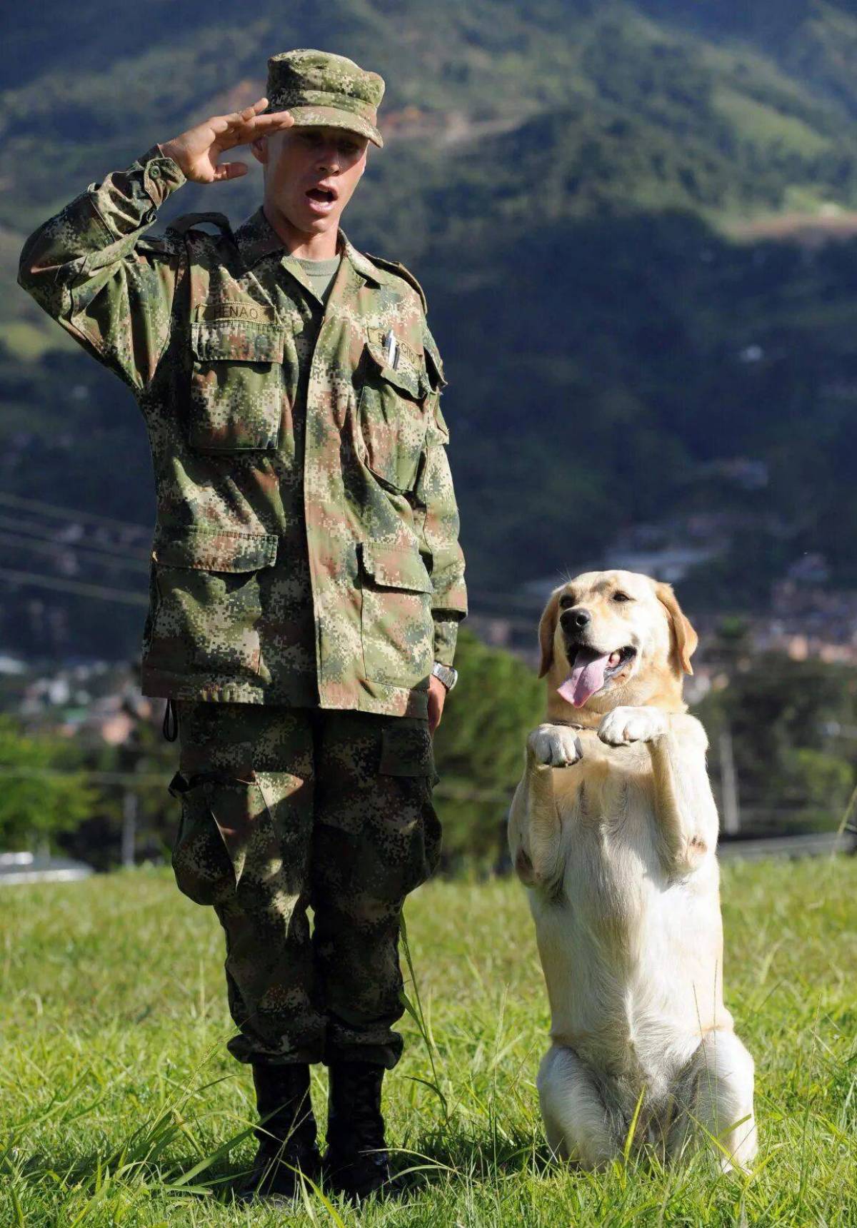 Солдат с собакой #3