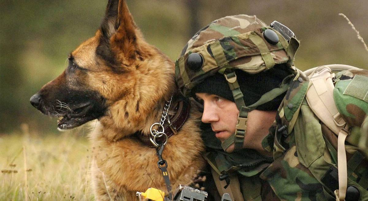 Солдат с собакой #13
