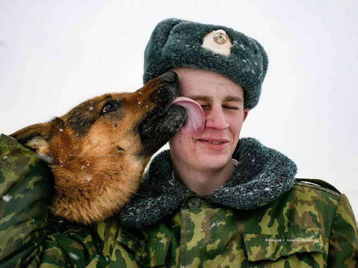 Солдат с собакой #16