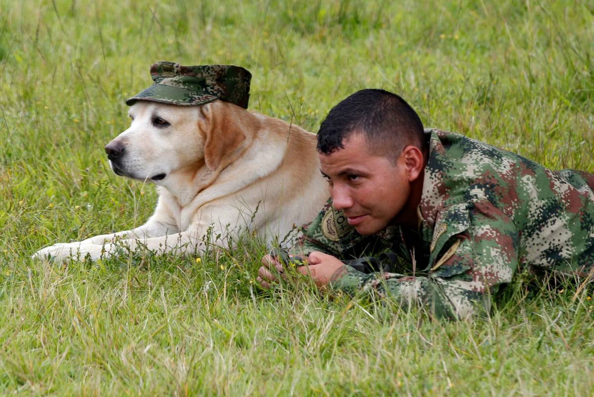 Солдат с собакой #18
