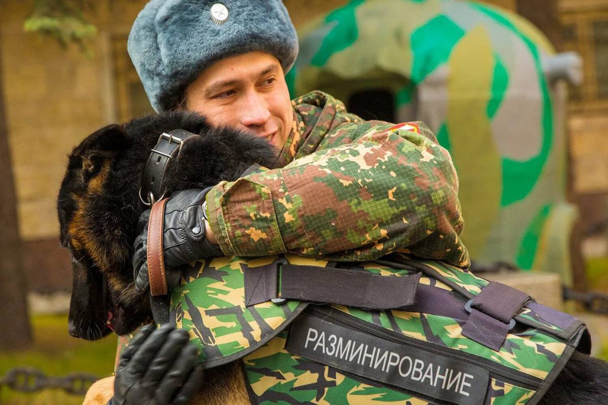 Солдат с собакой #19