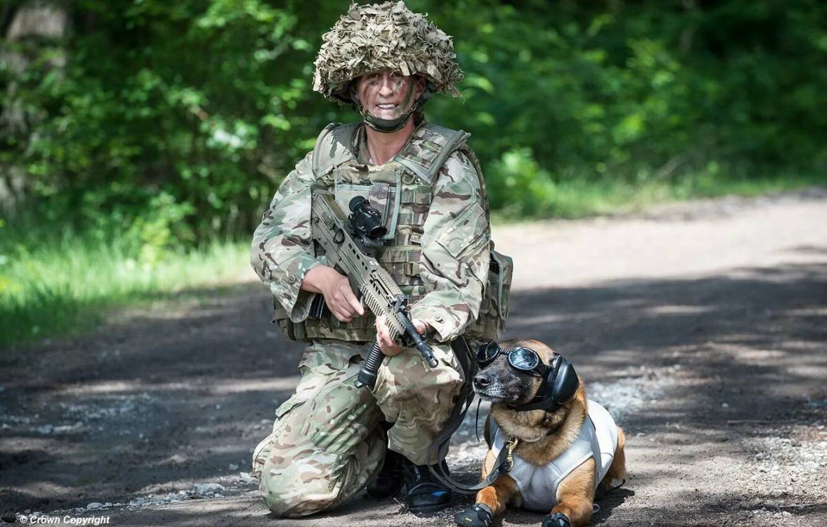 Солдат с собакой #21