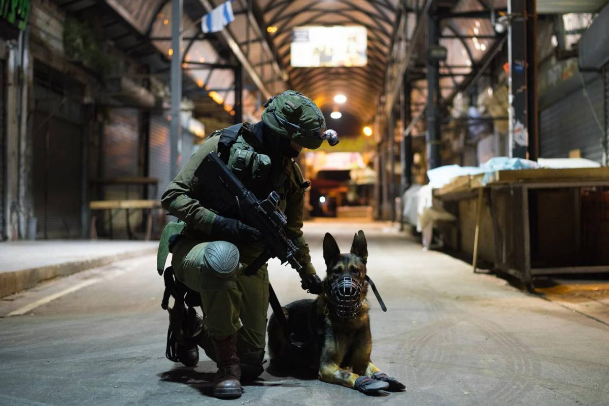Солдат с собакой #23