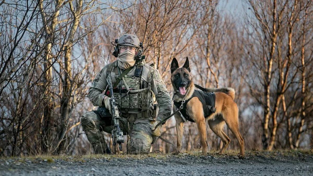 Солдат с собакой #34