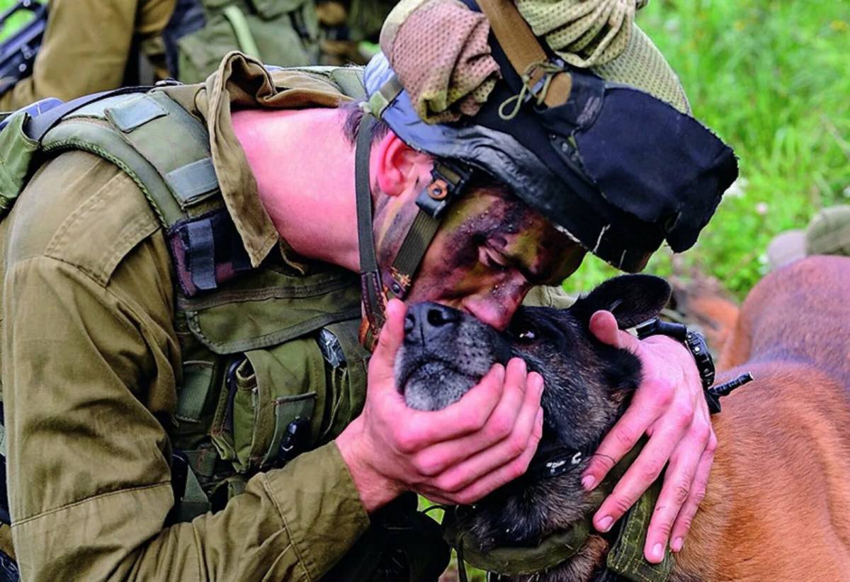 Солдат с собакой #36
