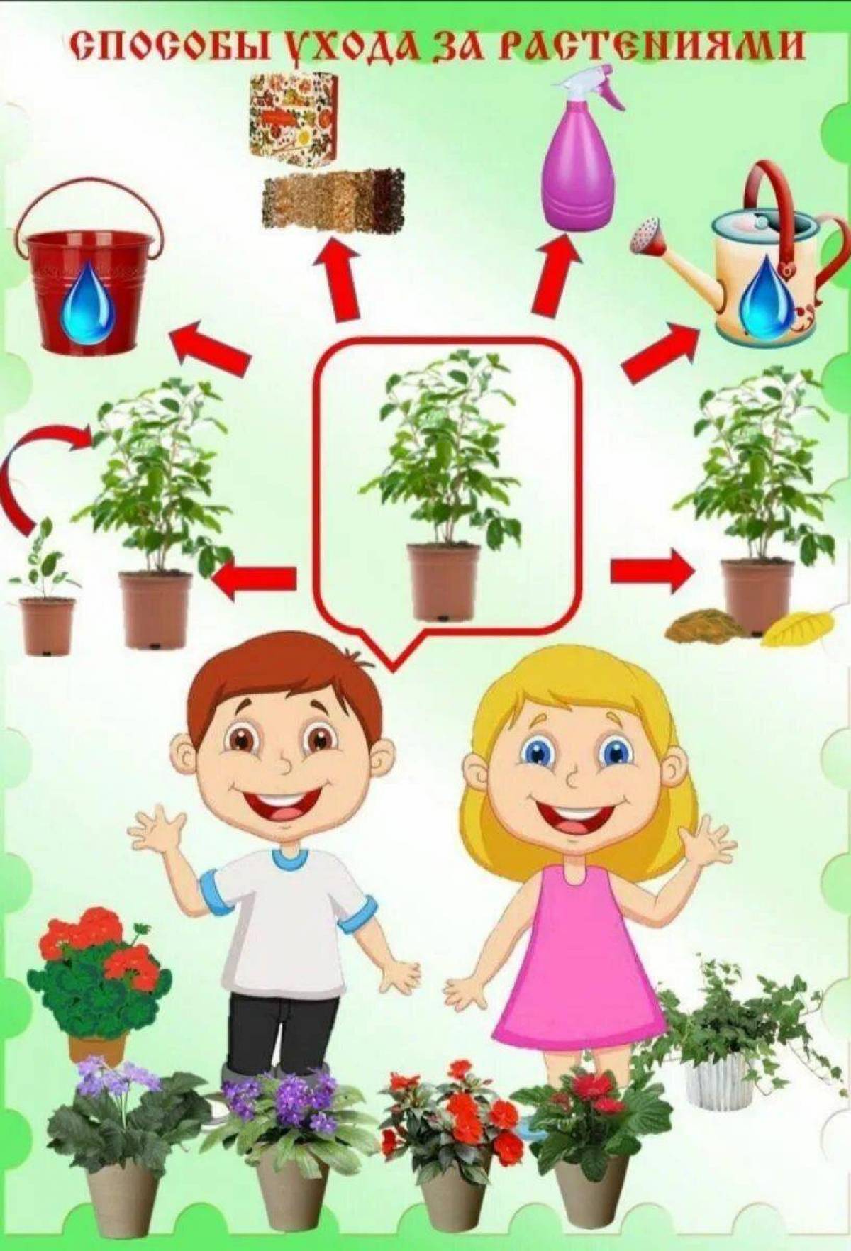 Уход за растениями в старшей группе. Комнатные растения для детсада. Комнатные растения для дошкольников. Ухаживание за растениями в детском саду. Растения для дошкольников.