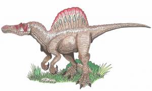 Раскраска спинозавр для детей #7 #508671