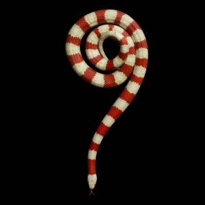 Раскраска спираль животные #28 #508840