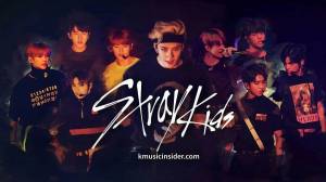 Раскраска спиральная stray kids #9 #509028