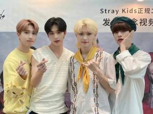 Раскраска спиральная stray kids #25 #509044