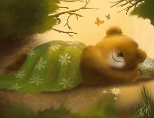 Раскраска спящий медведь #38 #510264