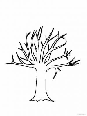 Раскраска ствол дерева для детей #27 #511323