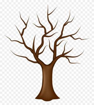 Раскраска ствол дерева для детей без листьев #2 #511330