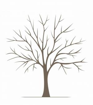 Раскраска ствол дерева для детей без листьев #15 #511343