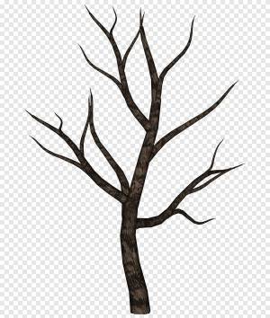 Раскраска ствол дерева для детей без листьев #27 #511355