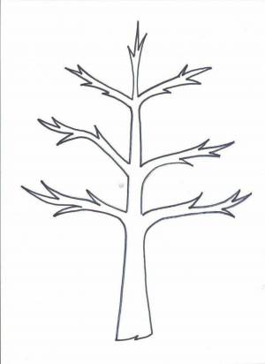 Раскраска ствол дерева для детей без листьев #28 #511356