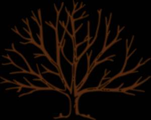 Раскраска ствол дерева для детей без листьев #30 #511358