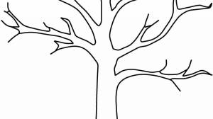 Раскраска ствол дерева для детей без листьев #32 #511360