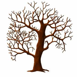 Раскраска ствол дерева для детей без листьев #34 #511362