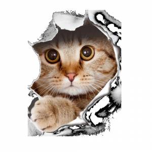 Раскраска стикеры котики #35 #511860