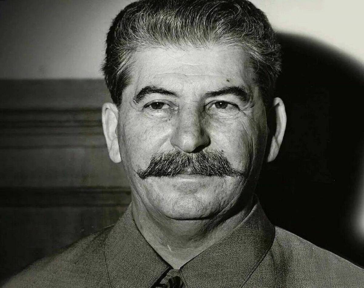 Сталина #24