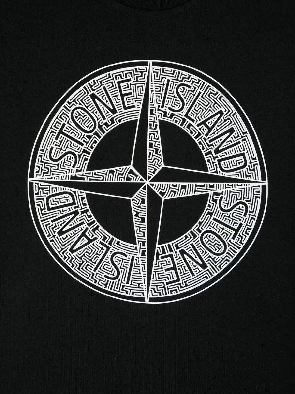 Island значок. Стон Исланд. Знак стон Исланд. Стон Айленд лого. Stone Island лого.