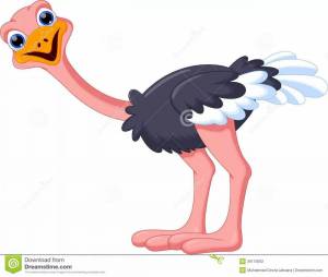 Раскраска страус для детей #2 #512874