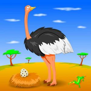 Раскраска страус для детей #35 #512907